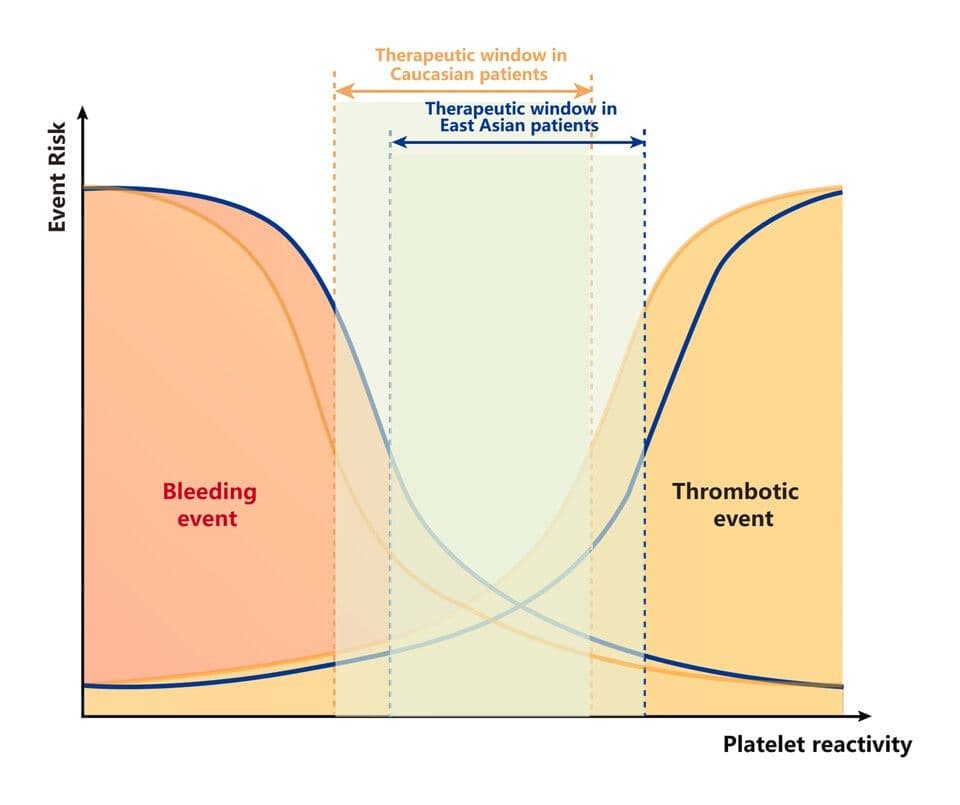 Why Do East Asians Bleed More on Heart Medications? New Guidelines Change Everything