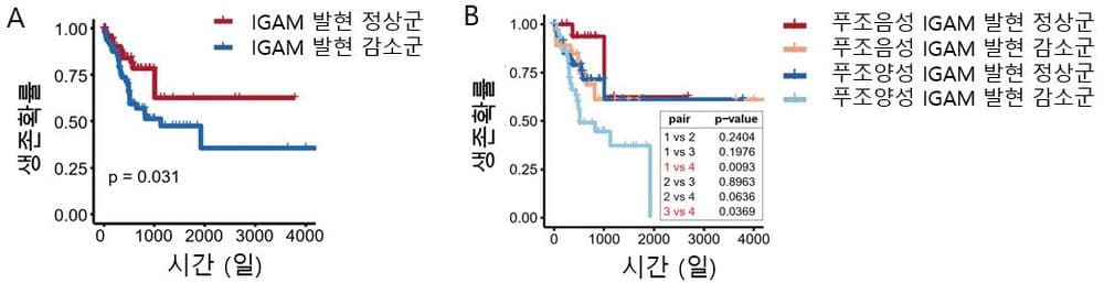 How Oral Bacteria Fuels Poor Outcomes in Colon Cancer