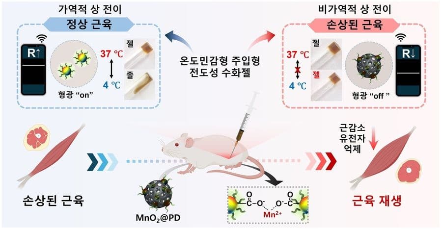 A Smart Oxygen-Releasing Hydrogel to Stop Skin Flap Necrosis