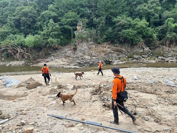 Gapyeong Flood Rescue Enters Seventh Day of Hope