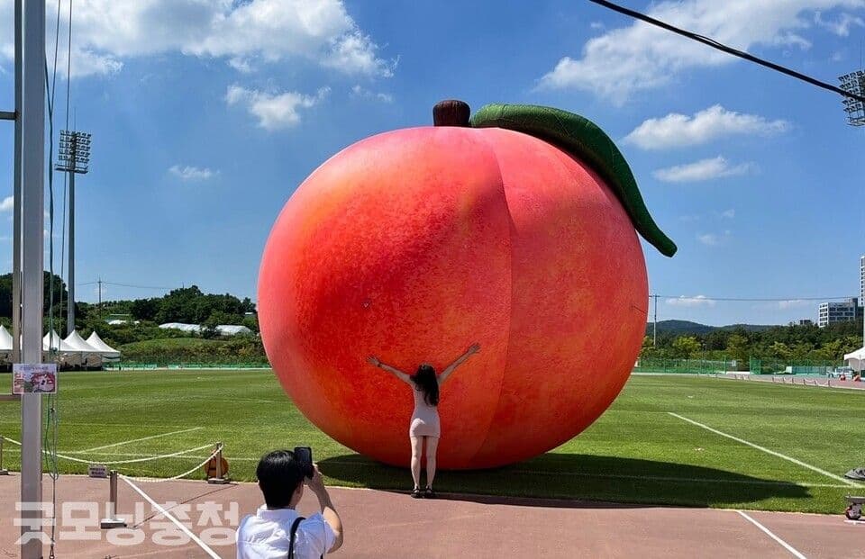 Sejong Peach Festival Adapts to Record-Breaking Heat